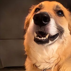 Meet your Posher, Mel